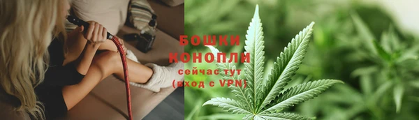 шишки Вязьма