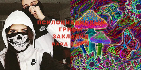 шишки Вязьма