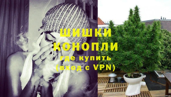 шишки Вязьма