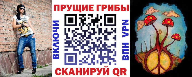 купить наркоту  Мостовской  Псилоцибиновые грибы Psilocybe 